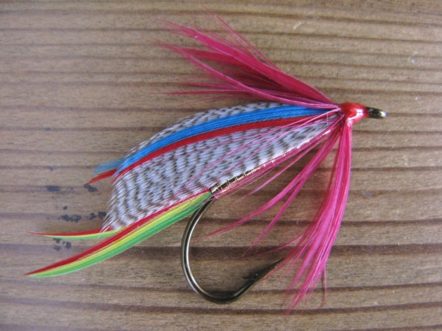 Golden Doctor - this version has a full collar hackle applied after the wing was mounted.